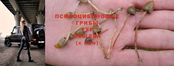 марихуана Богданович
