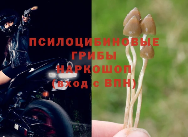 героин Бородино