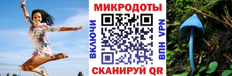 Псилоцибиновые грибы Cubensis сколько стоит Михайловск